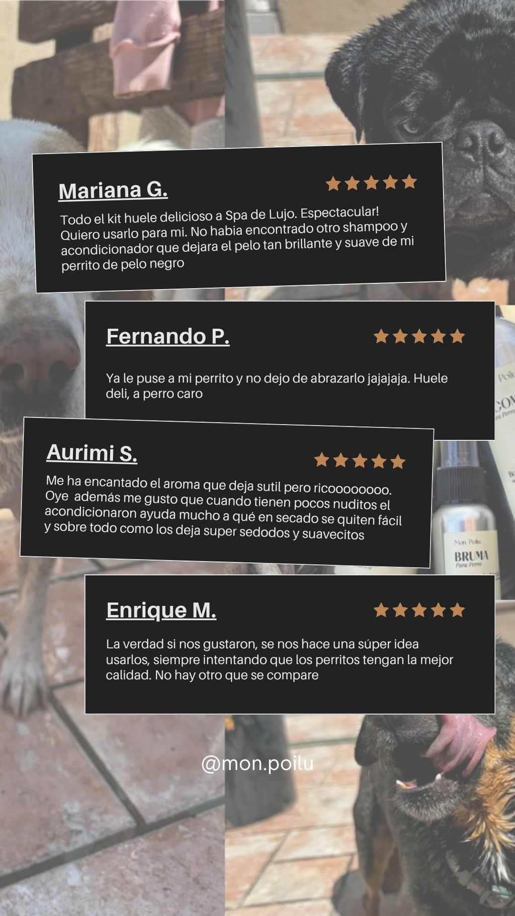 Bruma Perfumada para Perros Bosques de Sándalo